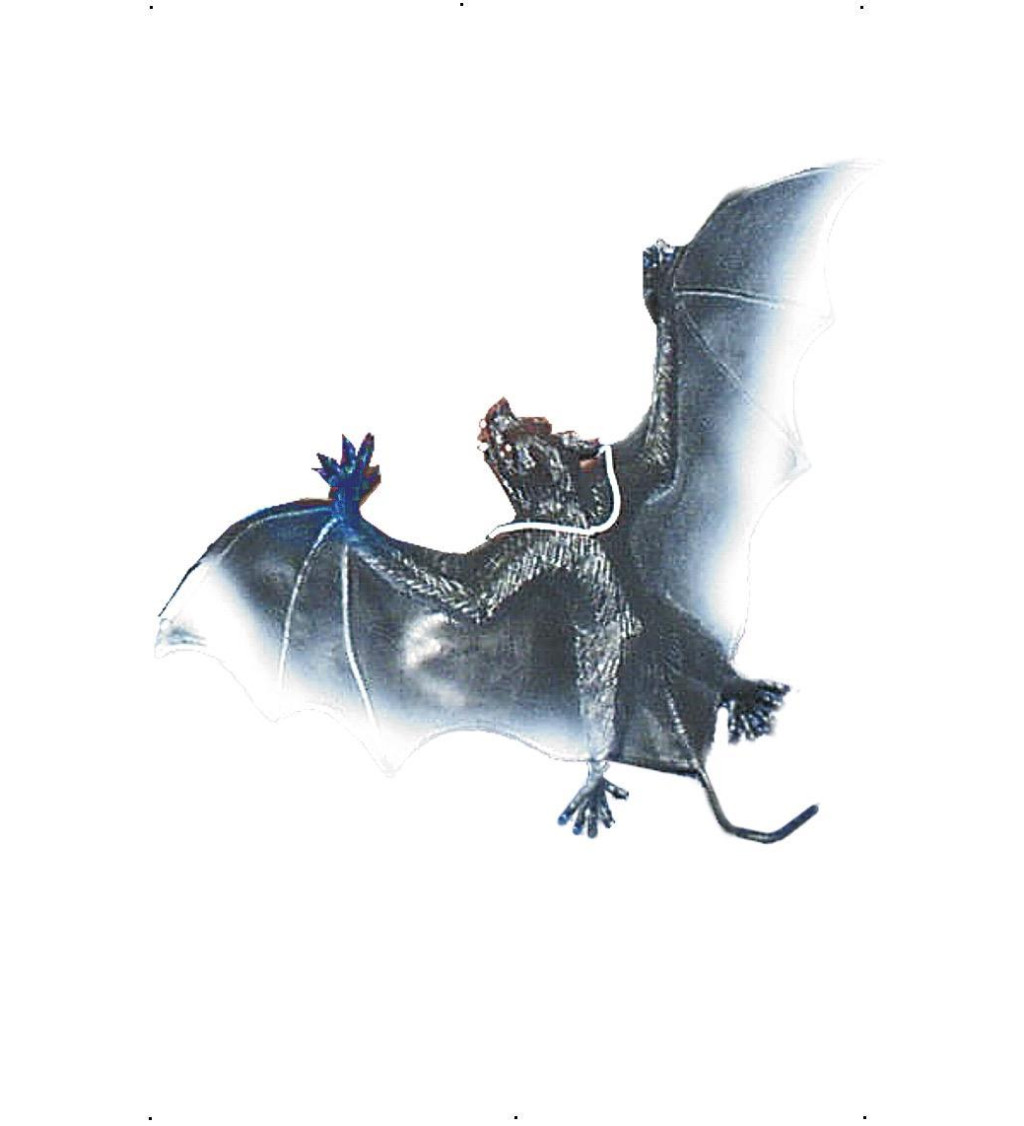 Dekorace - gumový netopýr